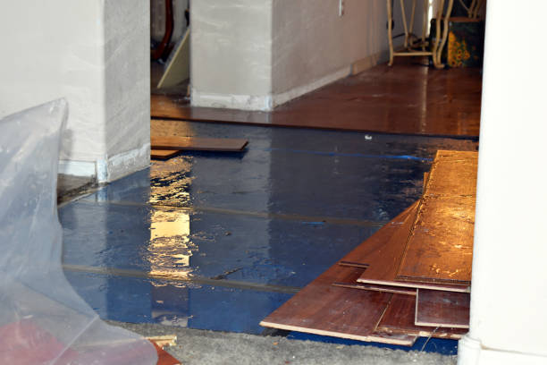 Professional Burst Pipe Cleanup technician working in Garner, NC